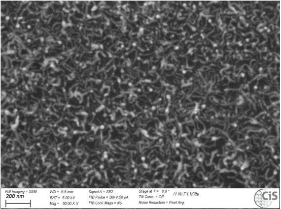 REM-Aufnahme-Ni-Nanopartikel + Ethanol geheizt-CNTs - © CiS Forschungsinstitut für Mikrosensorik GmbH 