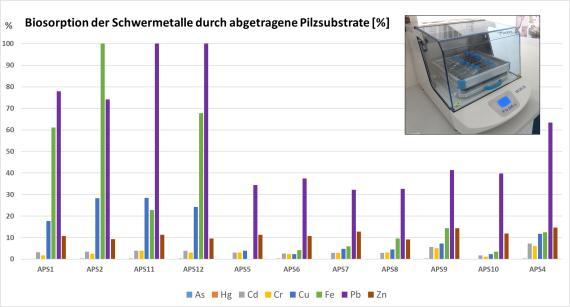 Durch 11 verschiedene Pilzsubstrate (APS) nach 24 h aufgenommene Schwermetallmenge [%], Kleines Bild: Laborschüttler zur Inkubation der wässrigen Pilz-Schwermetall-Mischung